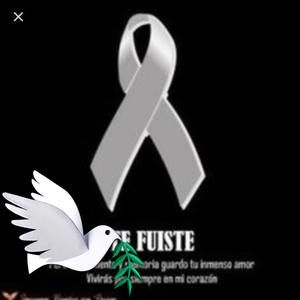 Meet your Posher, Narcisa a.